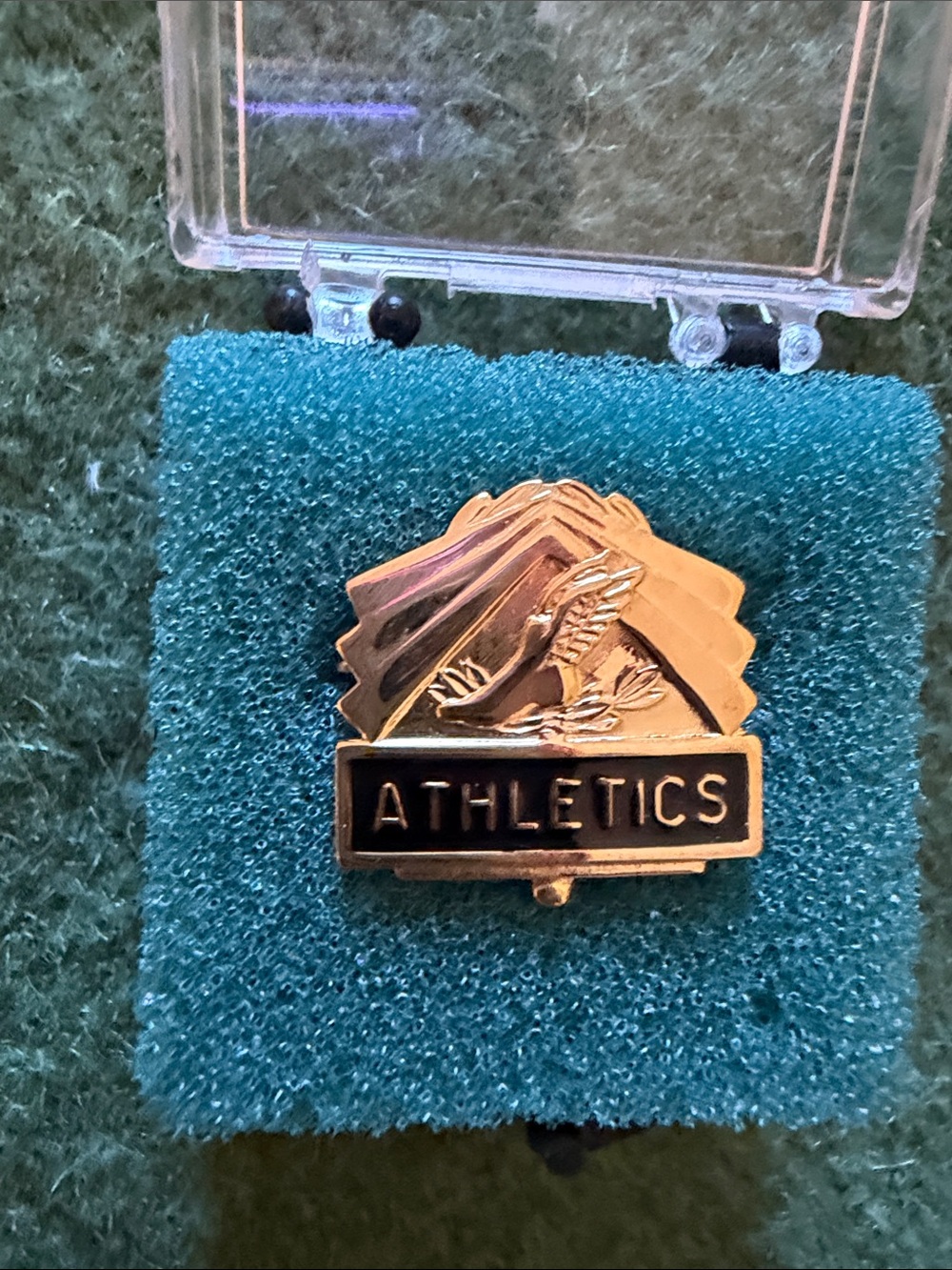Catholic School Athletics Pin